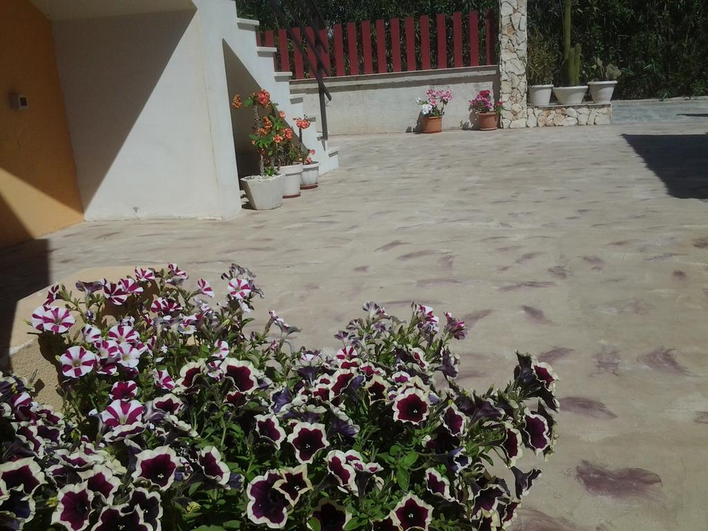 Bed and Breakfast Kamarina Land Santa Croce Camerina Zewnętrze zdjęcie